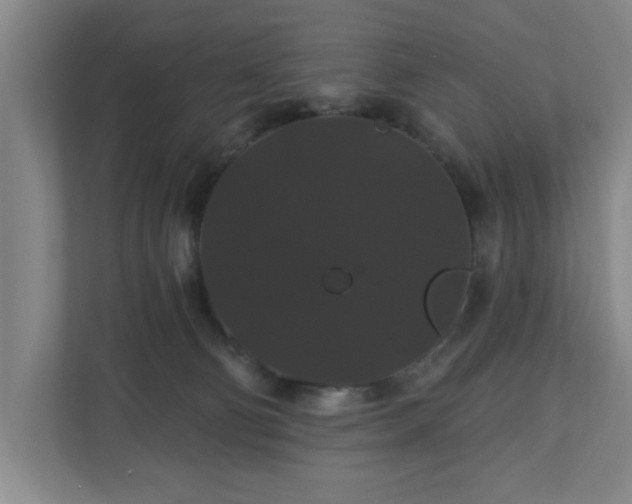 X0000110700130200906191535