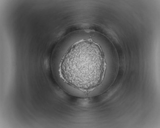 X0000110700131200906191535