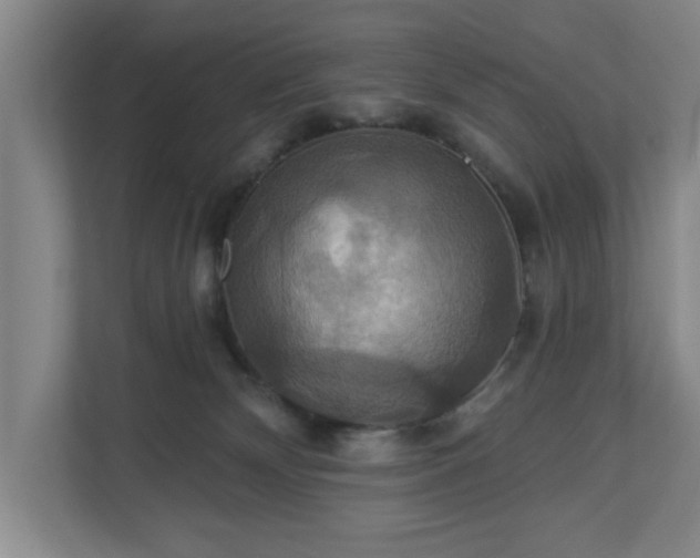 X0000110700132200906191535