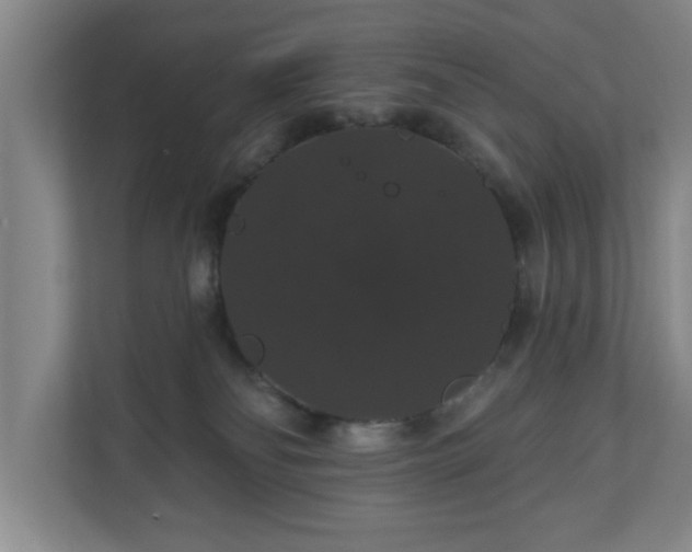X0000110700134200906191535