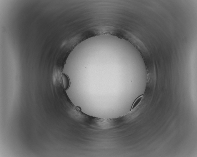X0000110700142200906191535