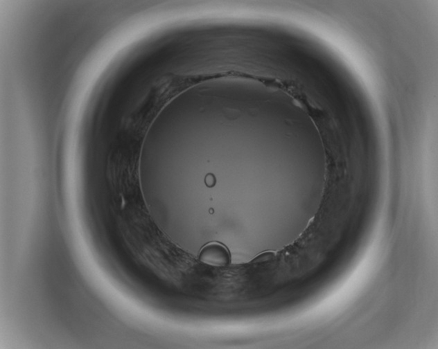X0000110700143200906191535