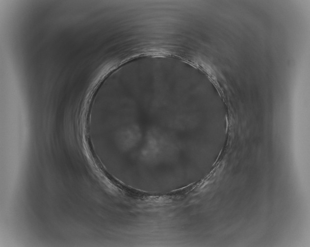 X0000110700145200906191534