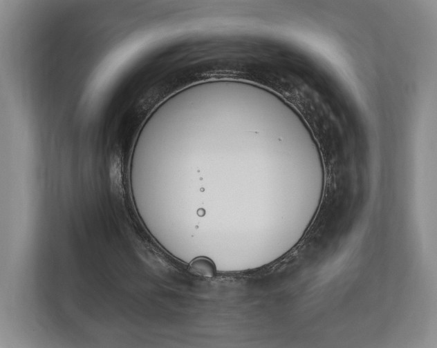 X0000110700146200906191534