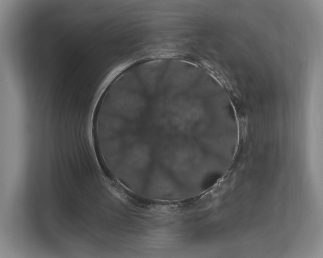 X0000110700147200906191534