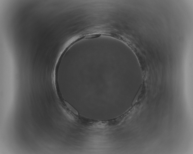X0000110700148200906191534