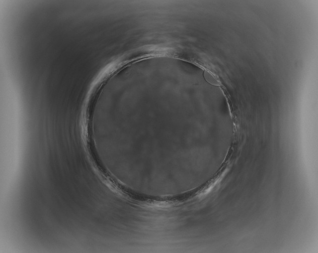 X0000110700149200906191534