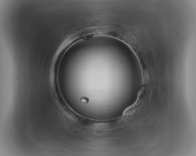 X0000110700150200906191534