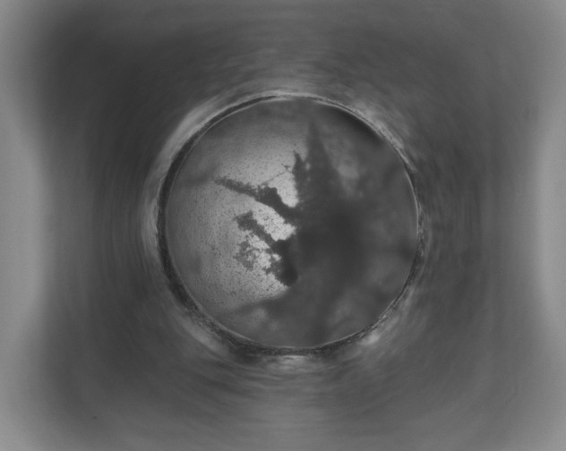 X0000110700151200906191534