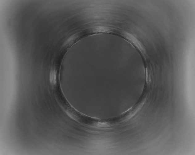 X0000110700157200906191534