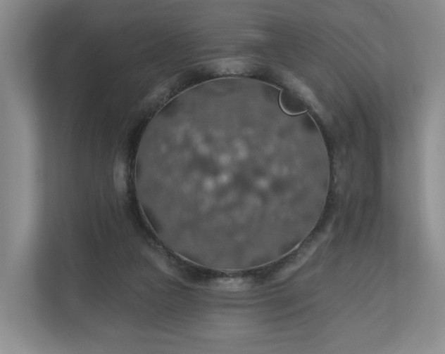 X0000110700161200906191534