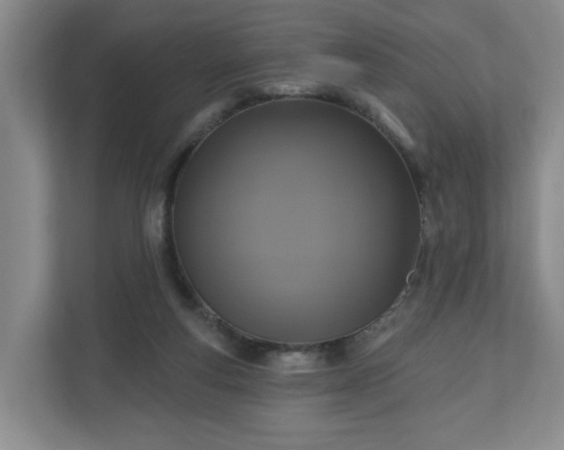X0000110700163200906191534