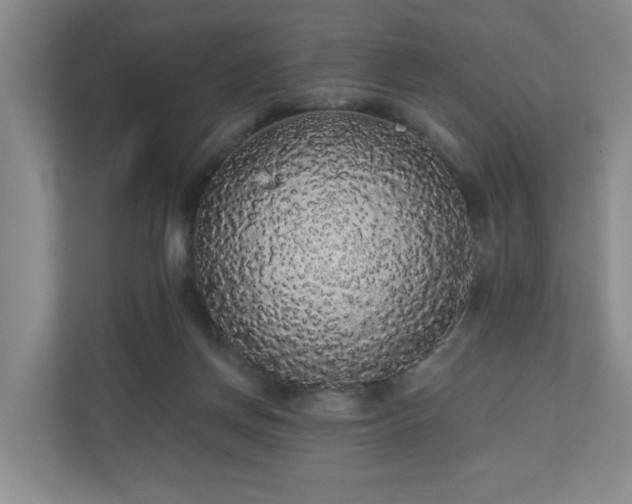 X0000110700166200906191534