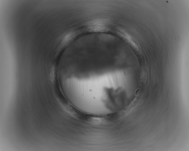 X0000110700167200906191534