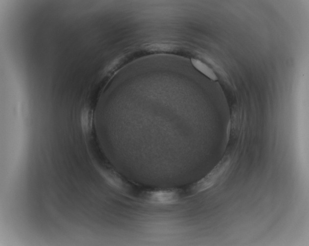 X0000110700168200906191534