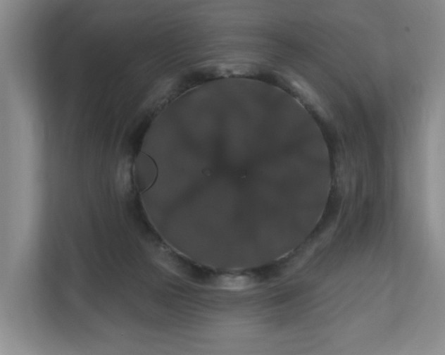 X0000110700169200906191534