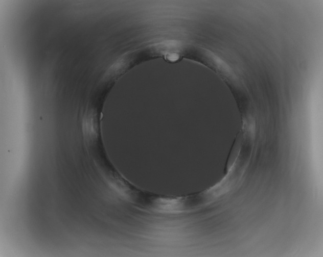 X0000110700170200906191534