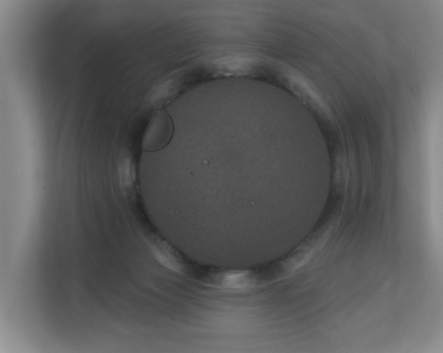 X0000110700173200906191534