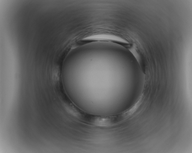 X0000110700174200906191534
