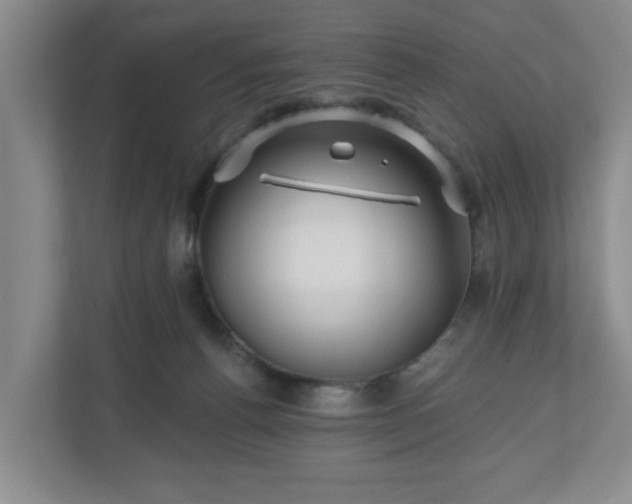 X0000110700176200906191535