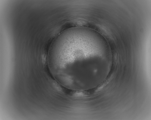 X0000110700177200906191535