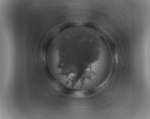 X0000110700178200906191535