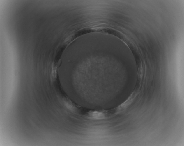 X0000110700180200906191535