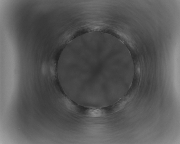 X0000110700181200906191535