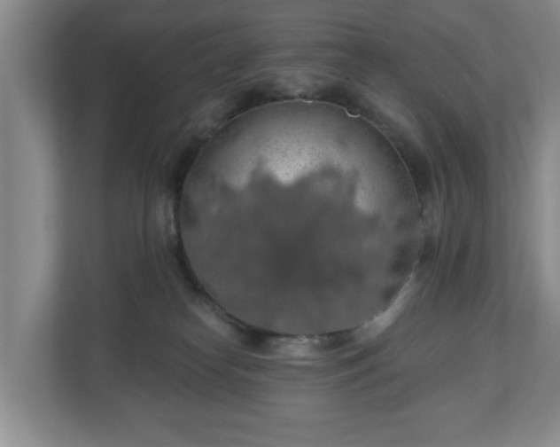 X0000110700182200906191535