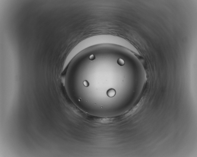 X0000110700184200906191535