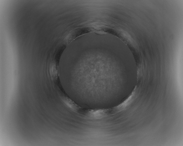 X0000110700186200906191535