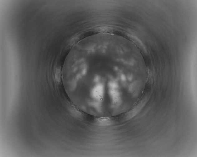 X0000110700189200906191535