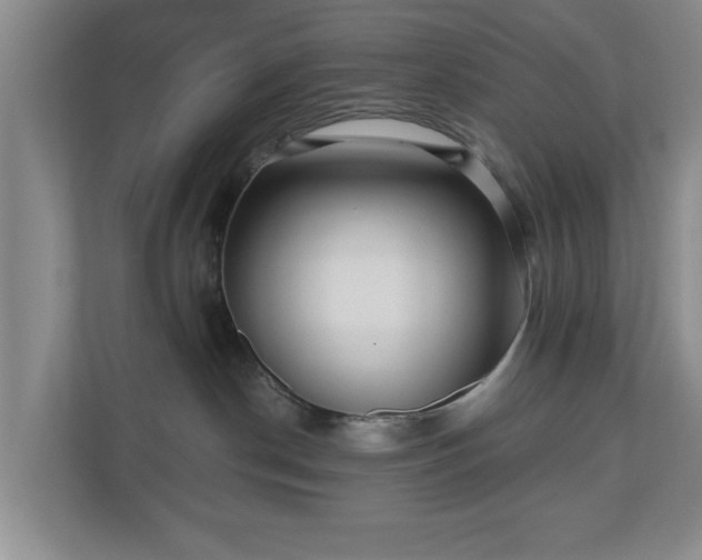 X0000110700190200906191535