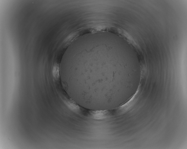X0000110700191200906191535
