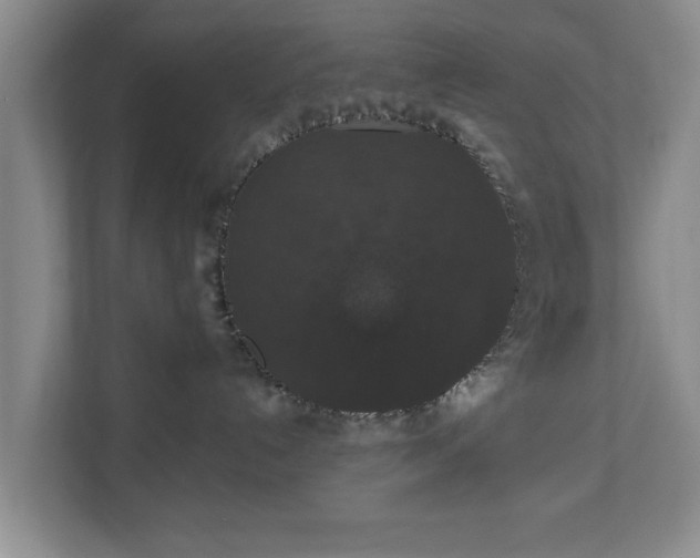 X0000110700192200906191535
