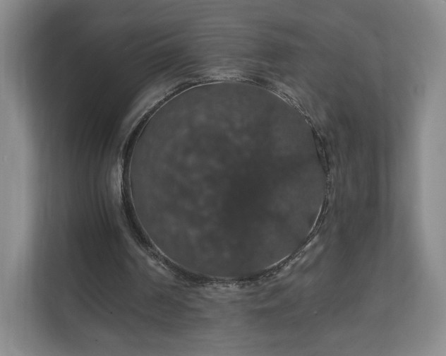 X0000110700194200906191534