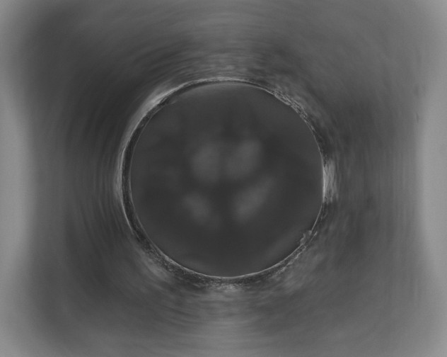 X0000110700195200906191534