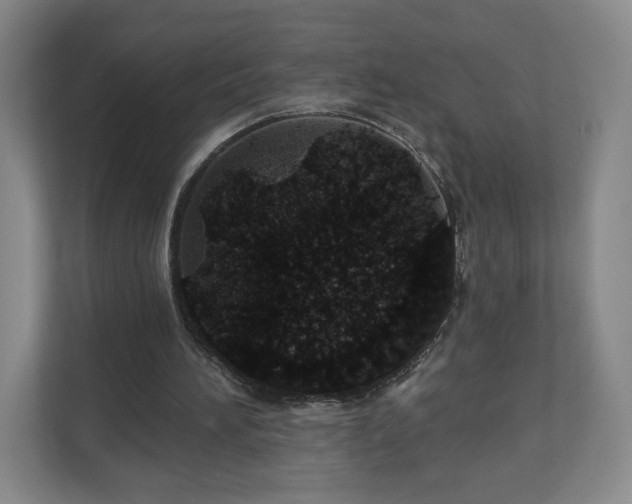 X0000110700196200906191534