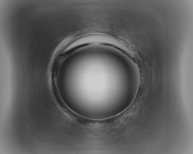 X0000110700197200906191534
