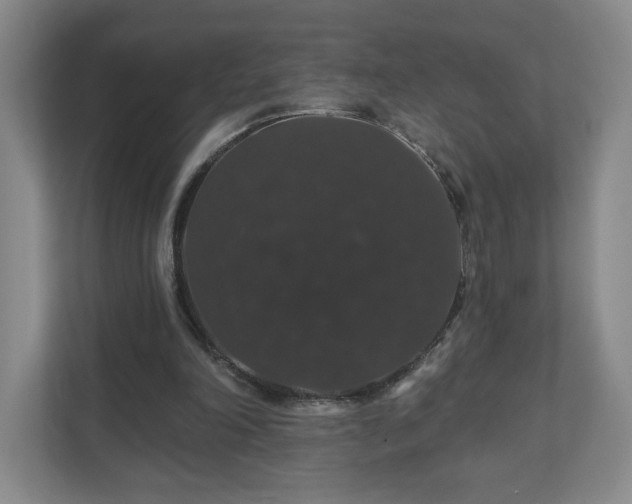 X0000110700198200906191534