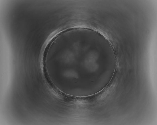 X0000110700199200906191534