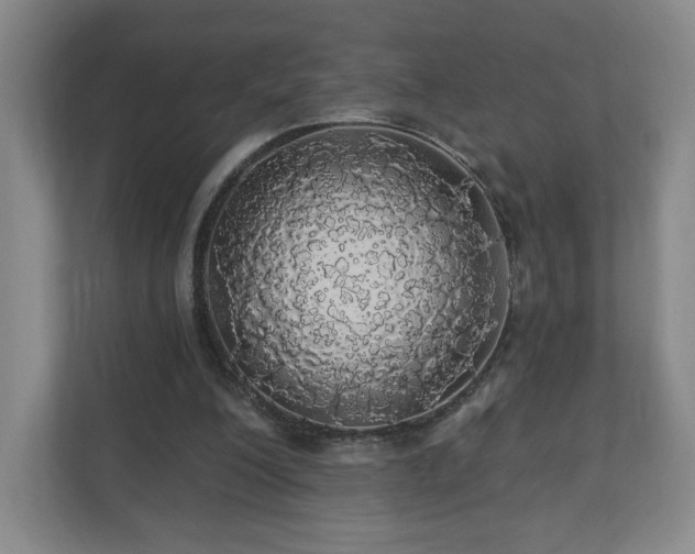 X0000110700200200906191534