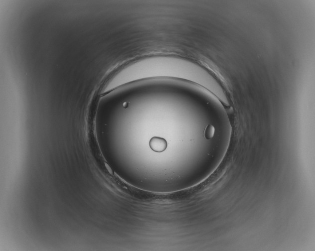 X0000110700203200906191534