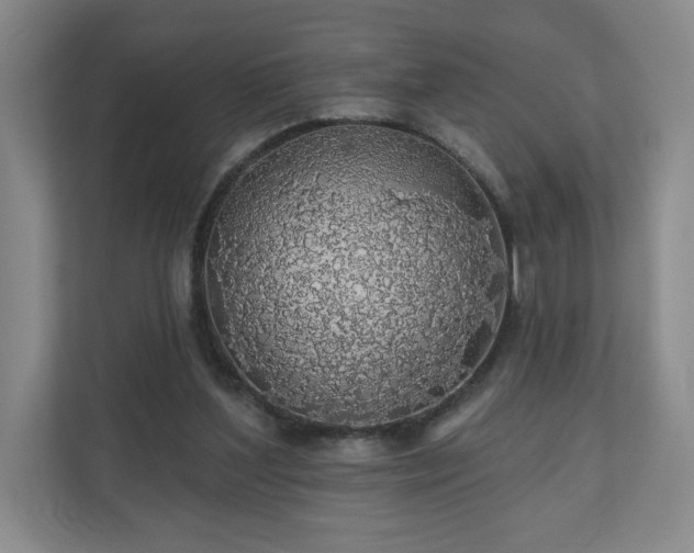 X0000110700204200906191534