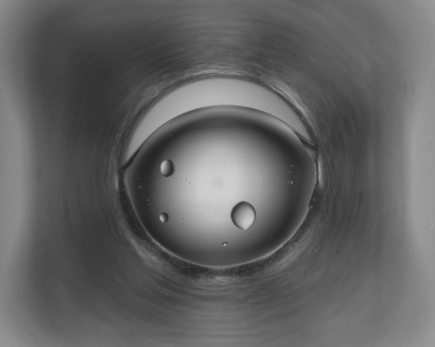 X0000110700205200906191534