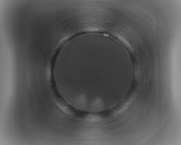 X0000110700207200906191534