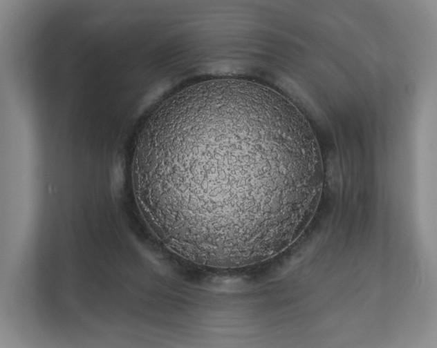 X0000110700208200906191534