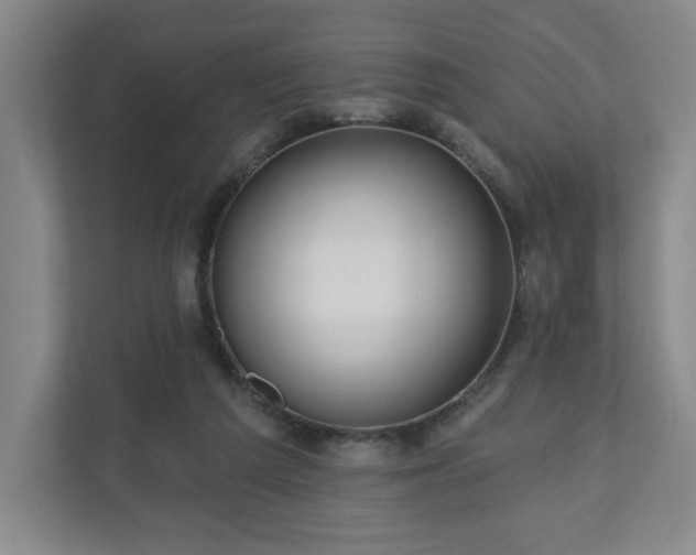 X0000110700209200906191534