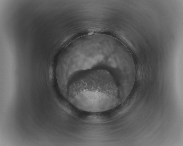 X0000110700211200906191534
