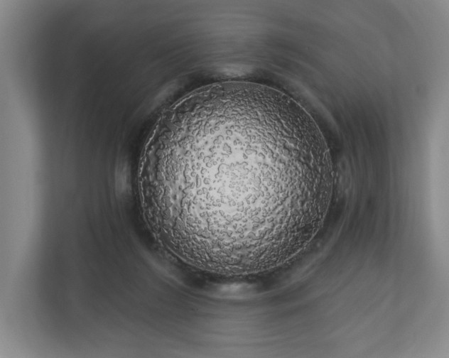 X0000110700212200906191534